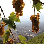 Weingut Eberlehof Apartment Bolzano
