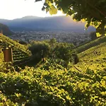 Apartment Weingut Eberlehof *