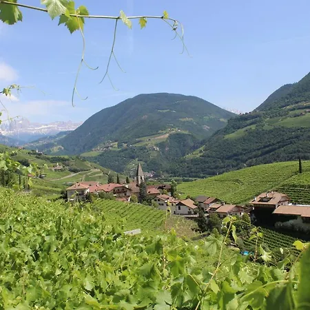 公寓 Weingut Eberlehof 博尔扎诺