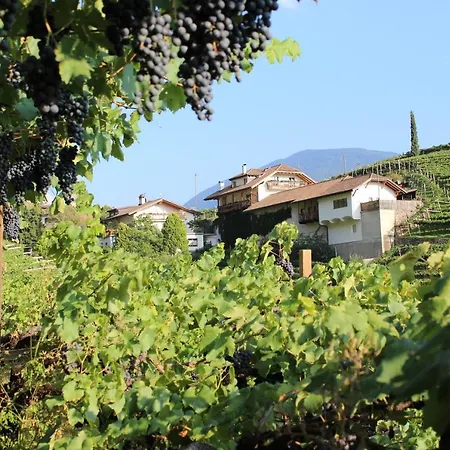 公寓 Weingut Eberlehof 博尔扎诺