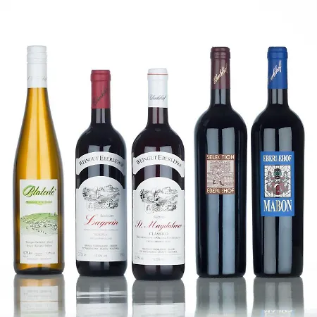 公寓 Weingut Eberlehof *