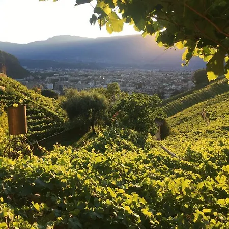 Daire Weingut Eberlehof *