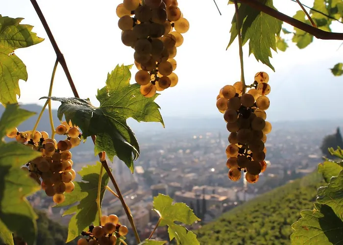 Weingut Eberlehof Appartement Bozen
