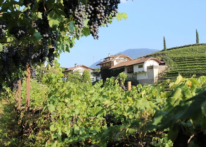 Apartamento Weingut Eberlehof Bolzano