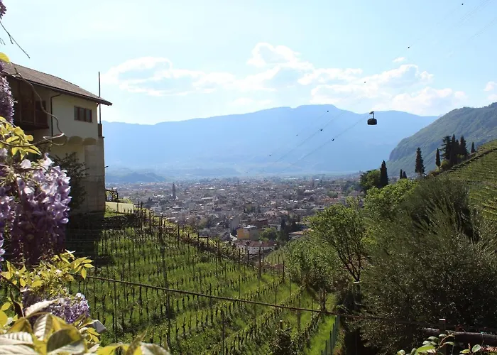 Weingut Eberlehof Appartement *