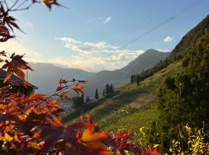 Appartement Weingut Eberlehof *