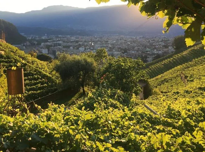 Apartamento Weingut Eberlehof *